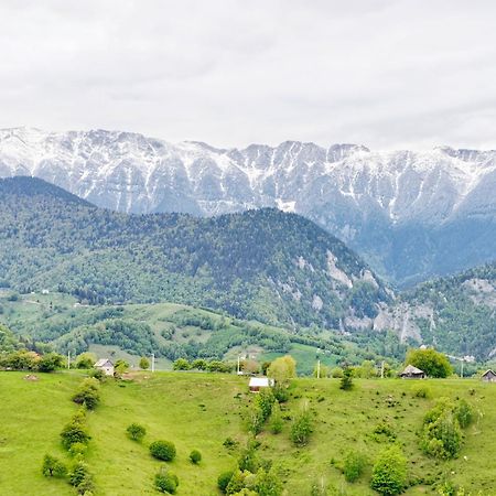 Alpine Escape Studios Măgura Εξωτερικό φωτογραφία