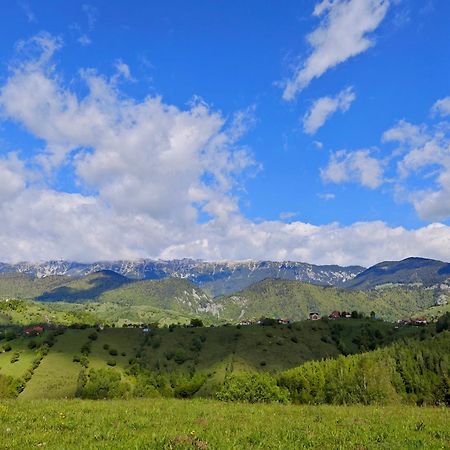 Alpine Escape Studios Măgura Εξωτερικό φωτογραφία