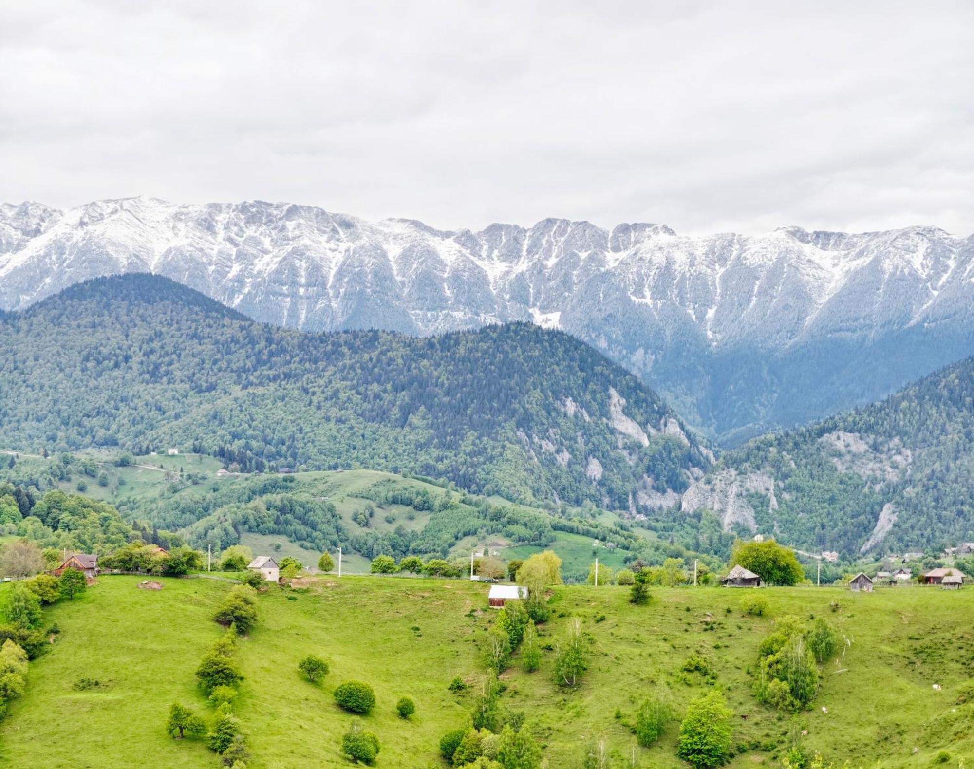 Alpine Escape Studios Măgura Εξωτερικό φωτογραφία