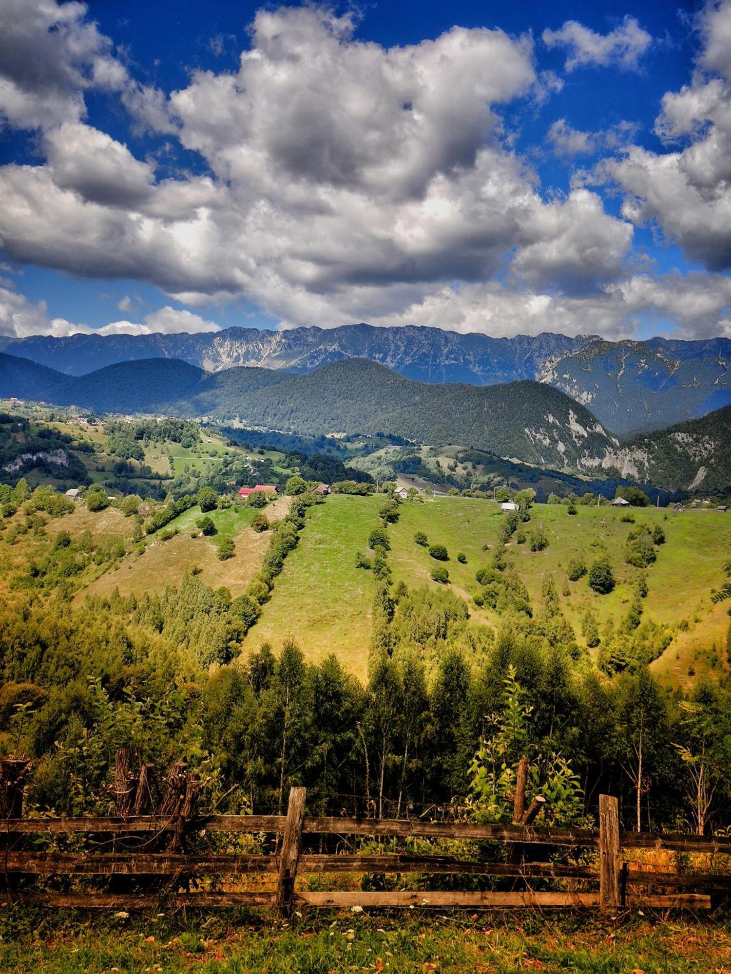 Alpine Escape Studios Măgura Εξωτερικό φωτογραφία