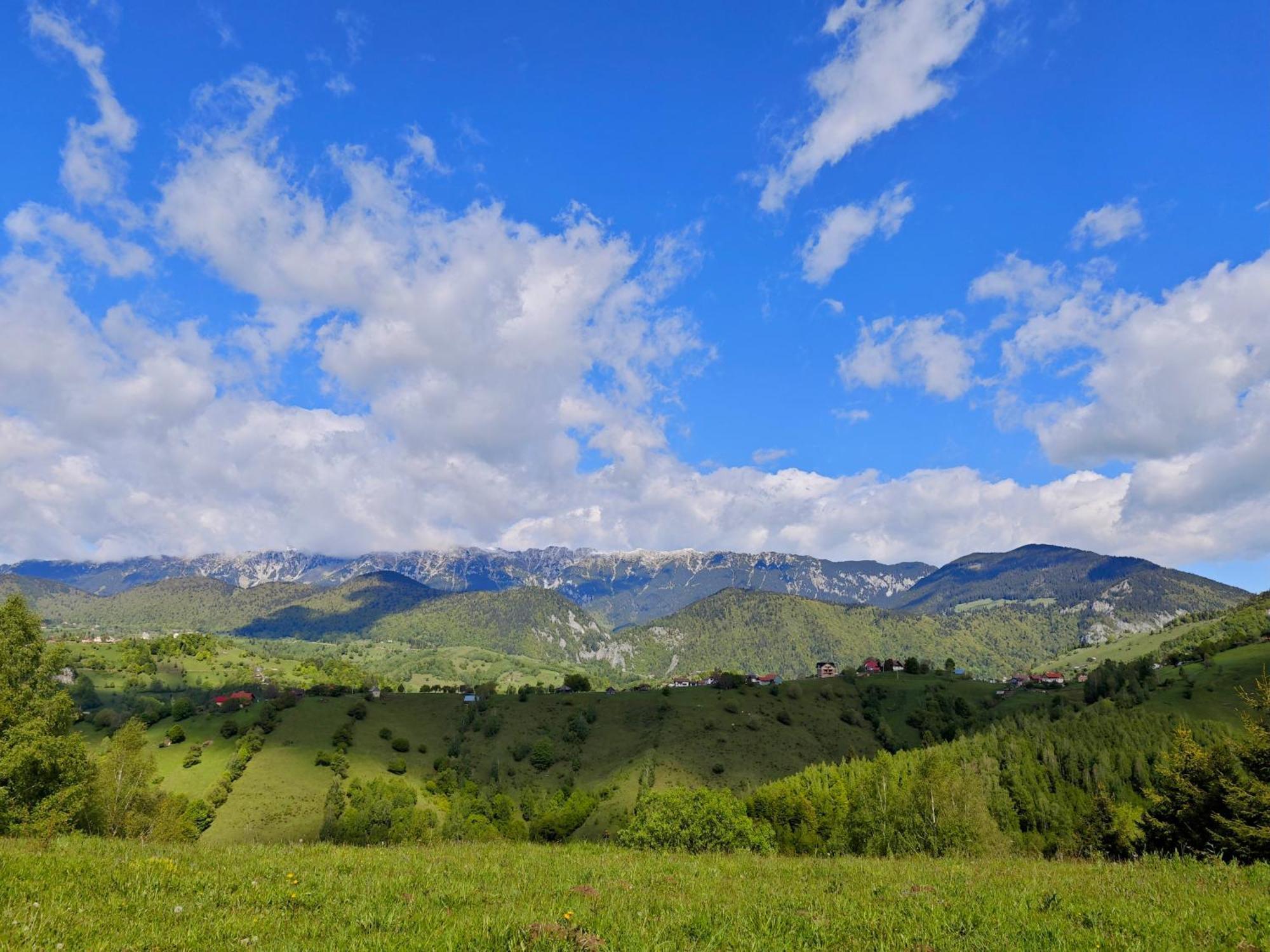 Alpine Escape Studios Măgura Εξωτερικό φωτογραφία